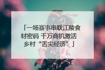 一场赛事串联江陵食材密码 千万商机激活乡村“舌尖经济”