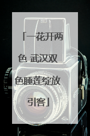 一花开两色 武汉双色睡莲绽放引客