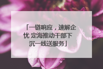 一链响应，速解企忧 定海推动干部下沉一线送服务