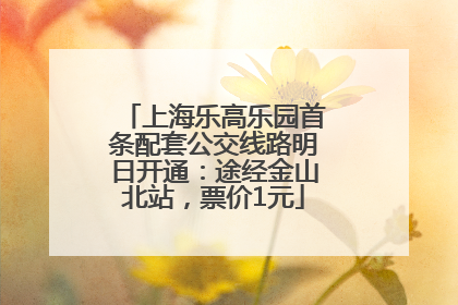 上海乐高乐园首条配套公交线路明日开通：途经金山北站，票价1元