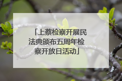 上蔡检察开展民法典颁布五周年检察开放日活动