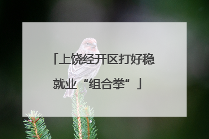 上饶经开区打好稳就业“组合拳”