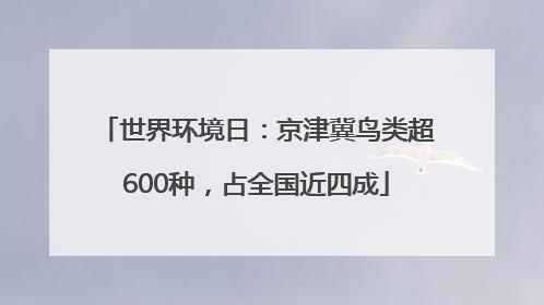 世界环境日：京津冀鸟类超600种，占全国近四成