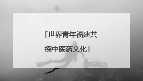 世界青年福建共探中医药文化