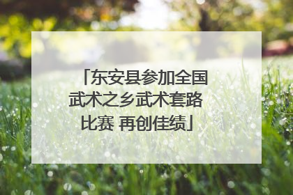 东安县参加全国武术之乡武术套路比赛 再创佳绩
