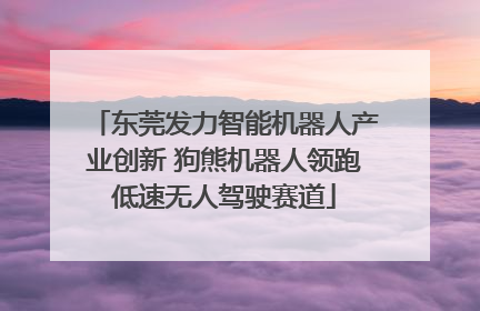 东莞发力智能机器人产业创新 狗熊机器人领跑低速无人驾驶赛道