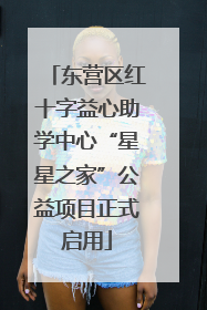 东营区红十字益心助学中心“星星之家”公益项目正式启用