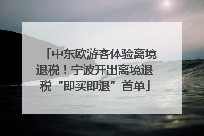 中东欧游客体验离境退税！宁波开出离境退税“即买即退”首单