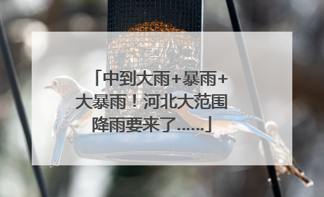 中到大雨+暴雨+大暴雨！河北大范围降雨要来了……