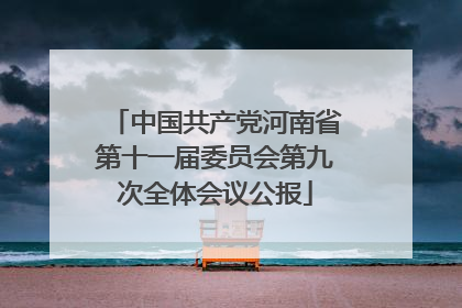 中国共产党河南省第十一届委员会第九次全体会议公报