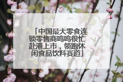 中国最大零食连锁零售商鸣鸣很忙赴港上市，领跑休闲食品饮料赛道
