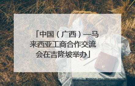 中国（广西）—马来西亚工商合作交流会在吉隆坡举办