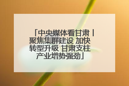 中央媒体看甘肃丨聚焦集群建设 加快转型升级 甘肃支柱产业增势强劲