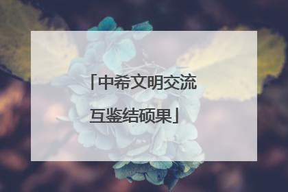 中希文明交流互鉴结硕果