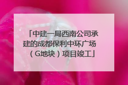 中建一局西南公司承建的成都保利中环广场（G地块）项目竣工