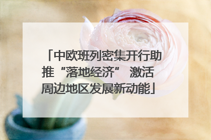 中欧班列密集开行助推“落地经济” 激活周边地区发展新动能