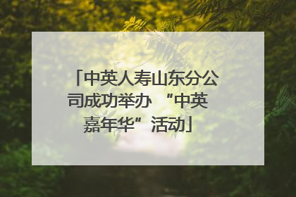中英人寿山东分公司成功举办 “中英嘉年华”活动