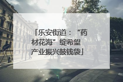 乐安街道：“药材花海”绽希望 产业振兴鼓钱袋
