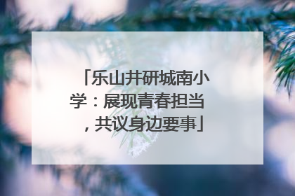 乐山井研城南小学：展现青春担当，共议身边要事