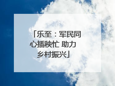 乐至：军民同心插秧忙 助力乡村振兴