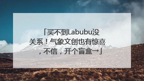 买不到Labubu没关系！气象文创也有惊喜，不信，开个盲盒→
