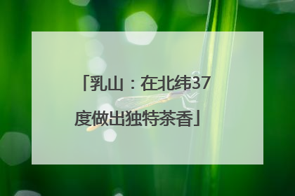 乳山：在北纬37度做出独特茶香