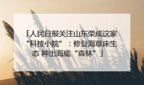 人民日报关注山东荣成这家“科技小院”：修复海草床生态 种出海底“森林”