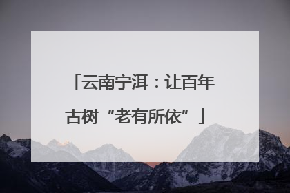 云南宁洱：让百年古树“老有所依”