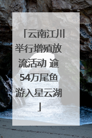 云南江川举行增殖放流活动 逾54万尾鱼游入星云湖