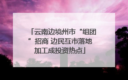 云南边境州市“组团”招商 边民互市落地加工成投资热点