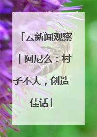 云新闻观察︱阿尼么：村子不大，创造佳话