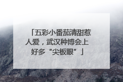 五彩小番茄清甜惹人爱，武汉种博会上好多“尖板眼”