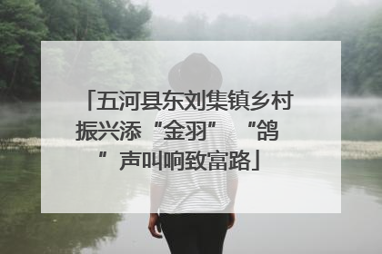 五河县东刘集镇乡村振兴添“金羽” “鸽”声叫响致富路