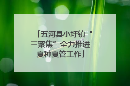 五河县小圩镇“三聚焦”全力推进夏种夏管工作