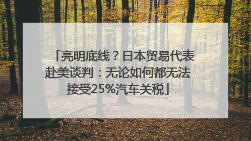 亮明底线？日本贸易代表赴美谈判：无论如何都无法接受25%汽车关税
