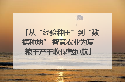 从“经验种田”到“数据种地” 智慧农业为夏粮丰产丰收保驾护航