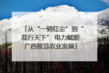 从“一骑红尘”到“荔行天下” 电力赋能广西智慧农业发展
