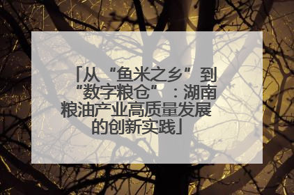 从“鱼米之乡”到“数字粮仓”：湖南粮油产业高质量发展的创新实践