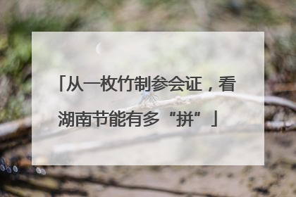 从一枚竹制参会证，看湖南节能有多“拼”