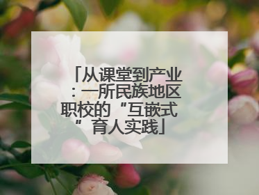 从课堂到产业：一所民族地区职校的“互嵌式”育人实践