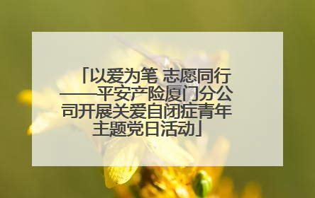 以爱为笔 志愿同行——平安产险厦门分公司开展关爱自闭症青年主题党日活动