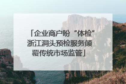 企业商户盼“体检” 浙江洞头预检服务颠覆传统市场监管