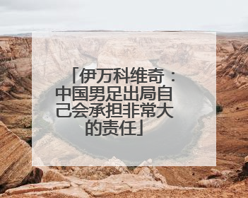 伊万科维奇：中国男足出局自己会承担非常大的责任