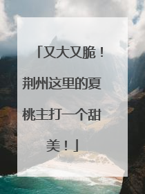 又大又脆！荆州这里的夏桃主打一个甜美！
