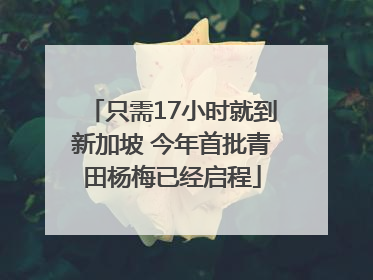 只需17小时就到新加坡 今年首批青田杨梅已经启程