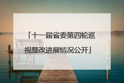 十一届省委第四轮巡视整改进展情况公开