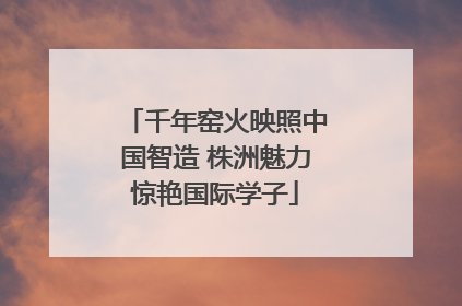 千年窑火映照中国智造 株洲魅力惊艳国际学子