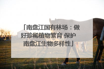 南盘江国有林场：做好珍稀植物繁育 保护南盘江生物多样性
