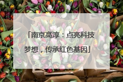 南京高淳：点亮科技梦想，传承红色基因