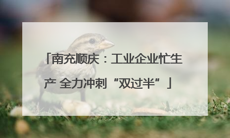 南充顺庆：工业企业忙生产 全力冲刺“双过半”